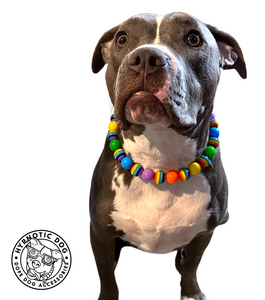 Rainbow Max Bead Collar