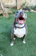 Load image into Gallery viewer, Rainbow Prism Acrylic Bead Collar