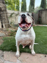 Load image into Gallery viewer, Rainbow Prism Acrylic Bead Collar