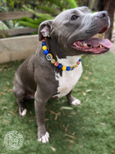 Load image into Gallery viewer, Los Angeles Rams NFL Inspired 🏈 Bead Collar