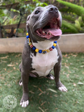 Load image into Gallery viewer, Los Angeles Rams NFL Inspired 🏈 Bead Collar