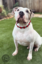 Load image into Gallery viewer, ♥️ Red &amp; Black Sweetheart ♥️ Bead Collar
