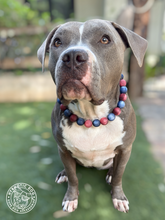 Load image into Gallery viewer, Red &amp; Blue Resin Bead Collar
