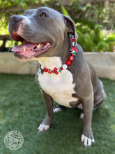 Load image into Gallery viewer, Red Cherry 🍒 Bead Collar