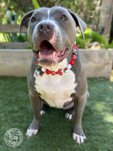 Load image into Gallery viewer, Red Cherry 🍒 Bead Collar