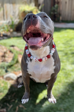 Load image into Gallery viewer, Red Frosty ⛄️ Bead Collar