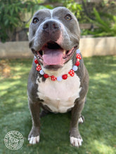 Load image into Gallery viewer, Red Mushroom 🍄 Bead Collar