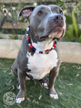 Load image into Gallery viewer, ⚾️ Boston Red Sox MLB Inspired Bead Collar