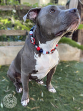 Load image into Gallery viewer, ⚾️ Boston Red Sox MLB Inspired Bead Collar