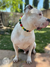 Load image into Gallery viewer, Reggae Stripes Bead Collar
