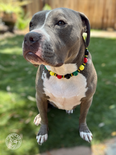 Load image into Gallery viewer, Reggae Stripes Bead Collar