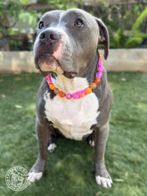 Load image into Gallery viewer, 🦋 Retro Butterfly Bead Collar 🧡🩷