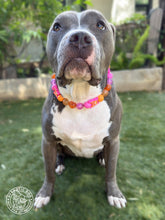 Load image into Gallery viewer, 🦋 Retro Butterfly Bead Collar 🧡🩷