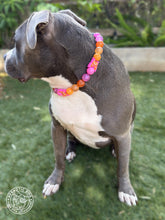 Load image into Gallery viewer, 🦋 Retro Butterfly Bead Collar 🧡🩷