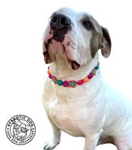 Load image into Gallery viewer, Retro Groovy 🌼 Bead Collar