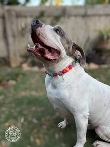 Retro Groovy 🌼 Bead Collar