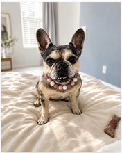 Load image into Gallery viewer, Nude Mauve Bead Collar