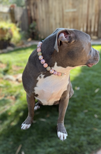 Load image into Gallery viewer, Rose Gold Champagne Bead Collar
