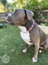 Load image into Gallery viewer, Pink Seashell Ceramic Bead Collar
