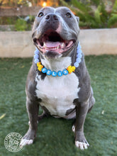 Load image into Gallery viewer, PERSONALIZED Rubber Duck Bead Collar