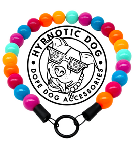 Santa Cruz Acrylic Bead Collar