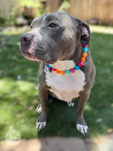 Load image into Gallery viewer, Santa Cruz Acrylic Bead Collar