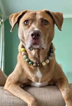 Load image into Gallery viewer, Mossy Meadow Bead Collar