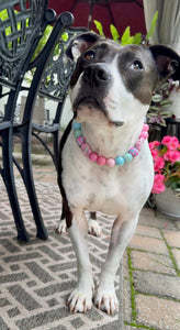 Cupcake Glitz Bead Collar