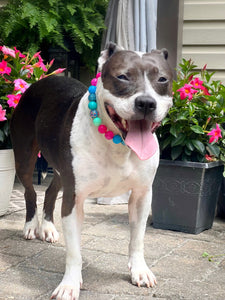 Margarita Splash Bead Collar