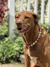 Load image into Gallery viewer, Foil Haunt Bead Collar