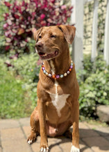 Load image into Gallery viewer, Foil Haunt Bead Collar