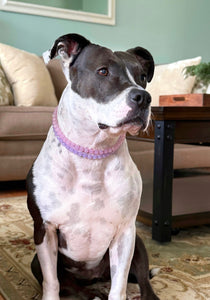 XS Pink & Purple Jewel Duplo Acrylic Bead Collar