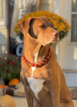 Load image into Gallery viewer, Cognac 🥃 Bead Collar