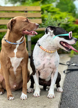Load image into Gallery viewer, Blue Twist Glow Bead Collar