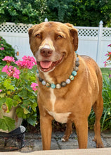 Load image into Gallery viewer, Thunder Bay Acrylic Bead Collar