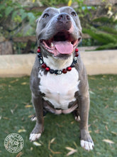 Load image into Gallery viewer, Scream Street Halloween Bead Collar
