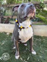 Load image into Gallery viewer, ⚾️ San Diego Padres MLB Inspired Bead Collar
