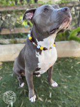 Load image into Gallery viewer, ⚾️ San Diego Padres MLB Inspired Bead Collar