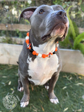Load image into Gallery viewer, ⚾️ San Francisco Giants MLB Inspired Bead Collar