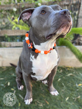 Load image into Gallery viewer, ⚾️ San Francisco Giants MLB Inspired Bead Collar