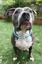 Load image into Gallery viewer, Sky Blue Abstract Ceramic Bead Collar