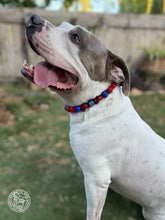 Load image into Gallery viewer, Spiderman Bead Collar