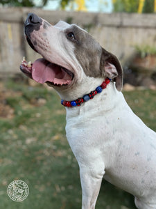 Spiderman Bead Collar