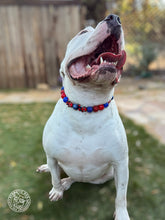 Load image into Gallery viewer, Spiderman Bead Collar