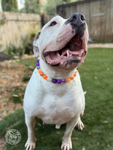 Load image into Gallery viewer, Spooky Season Bead Collar