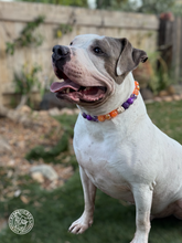 Load image into Gallery viewer, Spooky Season Bead Collar