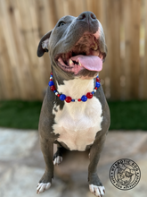 Load image into Gallery viewer, Star Spangled Bead Collar