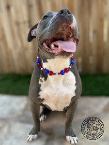 Star Spangled Bead Collar