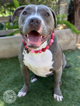 Load image into Gallery viewer, Strawberry Shortcake Bead Collar