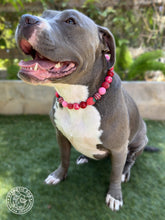 Load image into Gallery viewer, Strawberry Shortcake Bead Collar